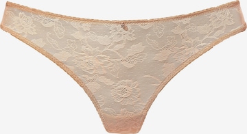 LASCANA Thong in Beige: front